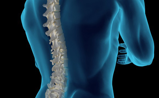 Bel Açıklığı Özellikleri ve Faydaları Nelerdir?