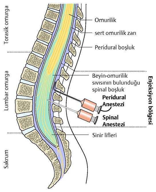 Belden Anestezi Nedir ve Nasıl Yapılır?